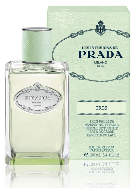 prada infusion d iris bewertungen|prada infusion d'iris 50ml.